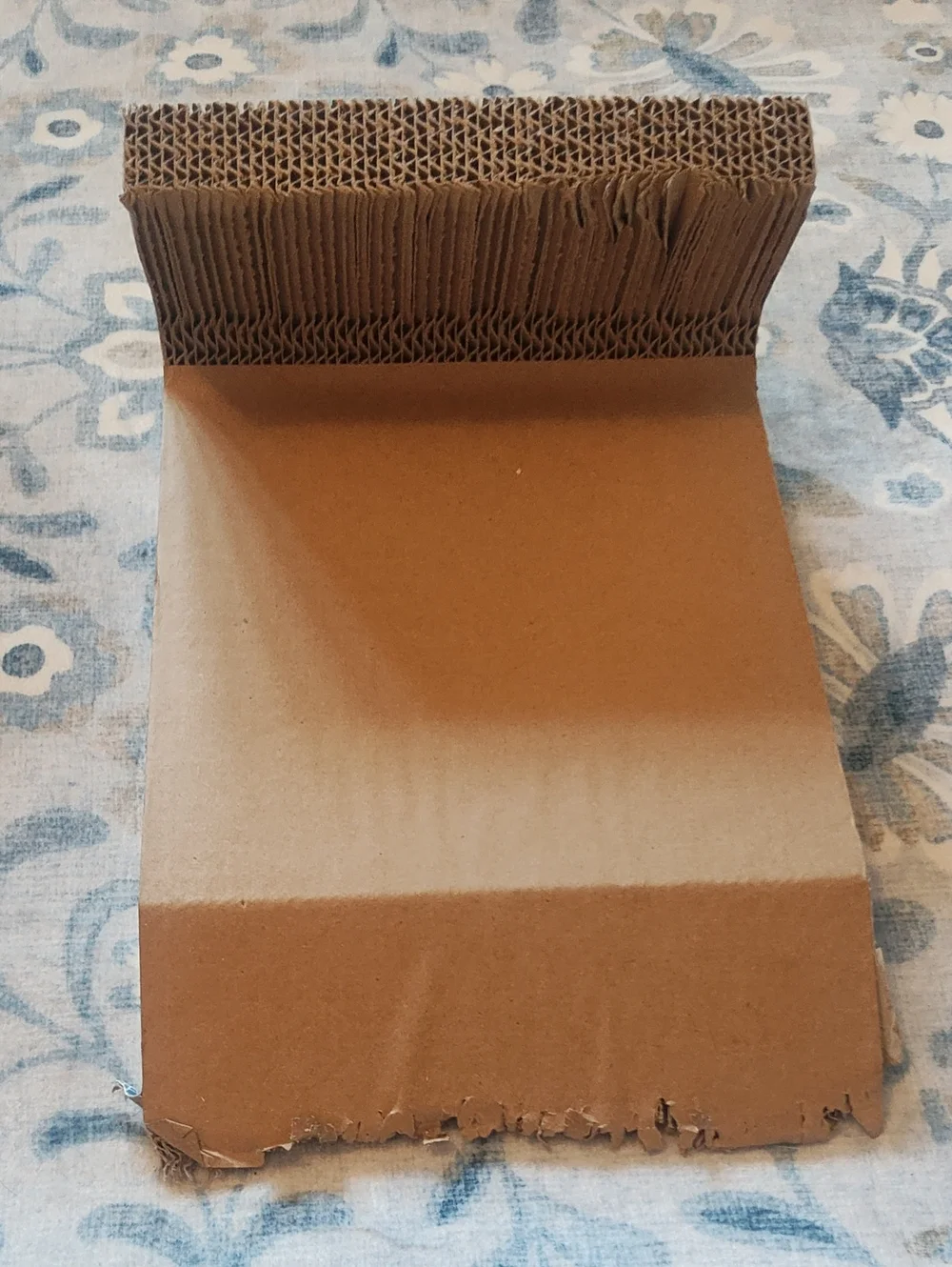 PETS: CAT SCRATCHER SET